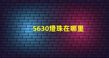 5630燈珠在哪里 5630 5730燈珠 區(qū)別
